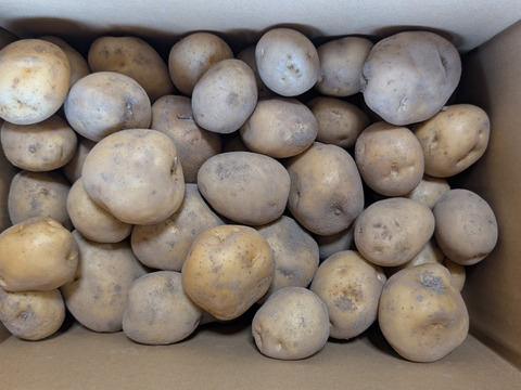 有機認証オーガニックじゃがいも5㎏