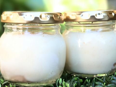 専門家監修！新発売「ももミルクぷりん」入り桃尽くしセット<解凍レベルも楽しめます>