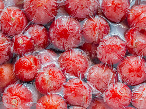 【冷凍フルーツトマト】完熟越え！！甘さが最高潮の割れフルーツトマト「ポモロッサ」加工用1㎏