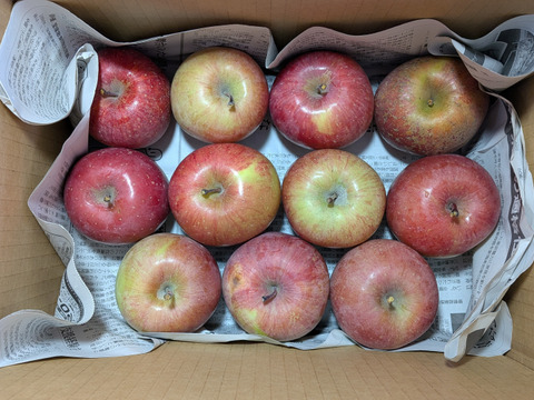 柿とリンゴの加工原料箱詰め