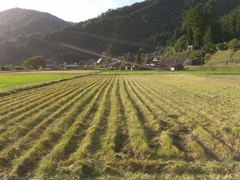 自然を大切に栽培した米粉　900g　【京都・かやぶきの里】美山産