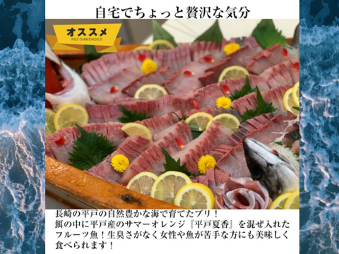 青空レストラン に出た フルーツ魚 
平戸なつ香ブリ 約 4.5kg　三枚おろし（真空パック・あら付き）
 【冬ギフト】 【熨斗対応可】