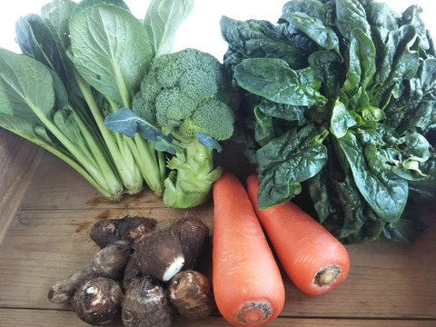 食べきりセット　旬の野菜を4～５品目×2袋ずつ　計８～10袋　農薬：栽培期間中不使用