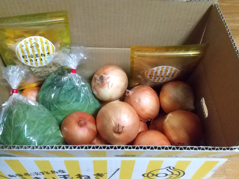 【今だけ！数量限定】大人気♪グリーンボール２玉と特別栽培淡路島玉ねぎ5キロ