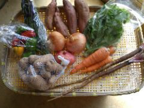 旬の野菜詰め合わせ（５~7品目）無農薬、無化学肥料、微生物酵素農法