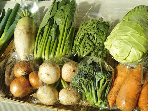 【農薬・化学肥料不使用】旬の野菜詰め合わせ9~10品【100サイズ】