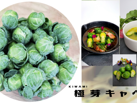 極kiwami 芽キャベツ