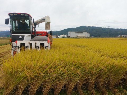 心が和らぐ　れんげ米（コシヒカリ）2㎏　環境に優しい農法に拘った自慢の米