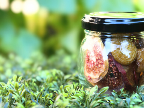 SUGAOヨーグリアセット〜ぶどう３種コンポートとドライフルーツMIX〜