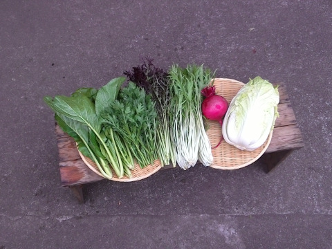 自然栽培野菜お試しセット(5~6種類)