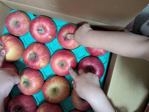 溢れんばかりの果汁！！当農園人気No.1 サンふじ【少し小さめ】５㎏
F-k5