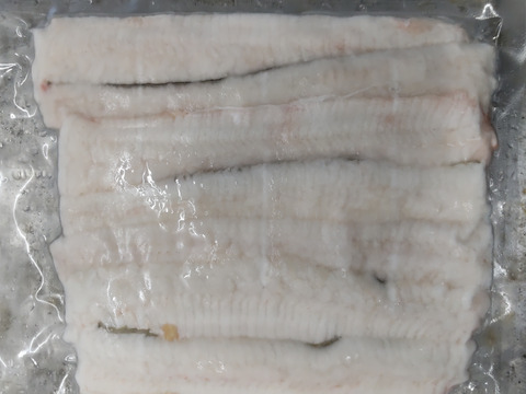 活〆鱧骨切り1パック約250㌘×5急速冷凍