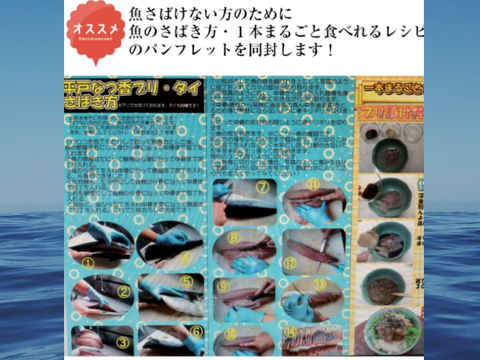 青空レストラン に出た フルーツ魚 
平戸なつ香ブリ 約 4.5kg　三枚おろし（真空パック・あら付き）
 【冬ギフト】 【熨斗対応可】