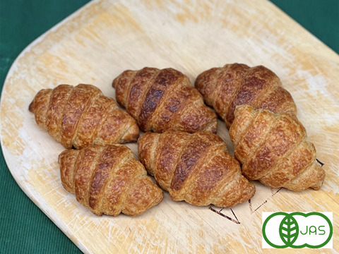 全部有機！Singleパン③：麦の栽培から一貫生産　自然栽培有機小麦のみ使用した有機クロワッサン×6