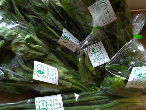 採れたて！旬の有機野菜の詰め合わせ（お試し6種）：島根県産の