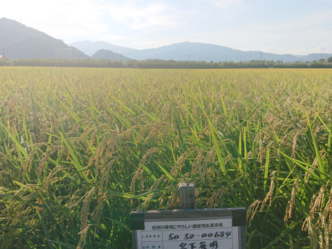 令和5年産 信州産 特別栽培米「里田のはぜかけ米」