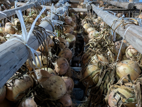 《自然栽培・食品ロス》淡路島産 人に優しい旨味「玉ねぎ」4 kg
 【2020年最優秀賞受賞／2022年SDG'sエバンジェリスト認定取得】