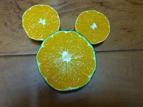 フレッシュ青切りみかん　小さなサイズ　約2.5㎏