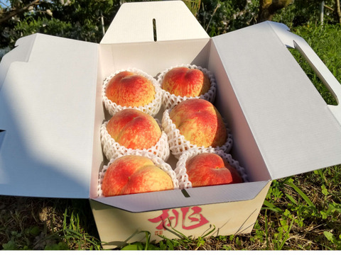 24年6月下旬発送🍑【日川白鳳】大玉厳選・１玉あたり340g～280g（5～6玉入り）合計約1.7kg 手提化粧箱入り