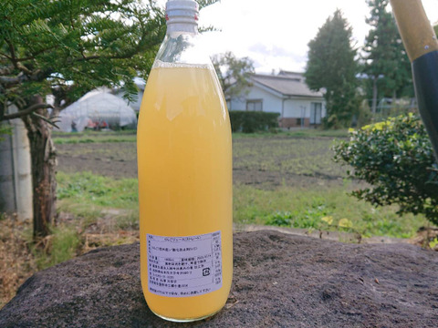 2021年10月収穫シナノスイートで作ったストレートジュース　天然の甘さをご堪能下さいませ。甘ーい/爽やか/芳醇な香り