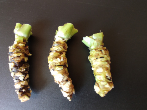 太陽と大地の恵み、岩手県産「わさび」