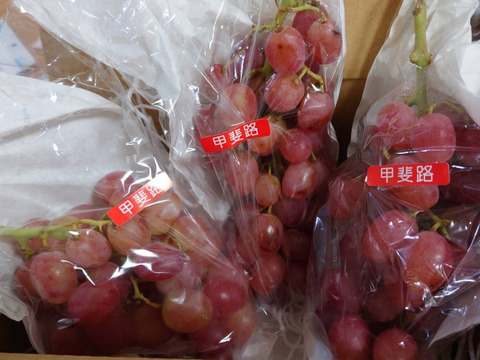 山梨のオリジナル【甲斐路】 かいじ