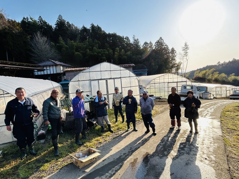 令和5年産 ひとめぼれ 5kg