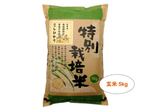【玄米5kg】信州産 農薬不使用米 こしひかり 令和2年産