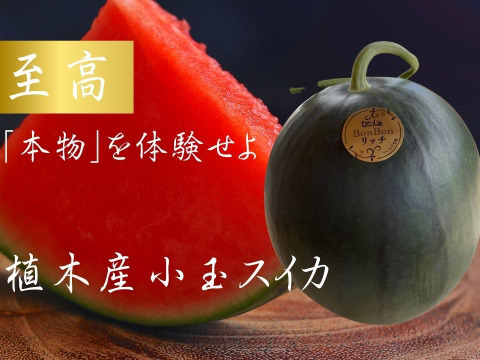 【黒小玉】熊本県植木産スイカ！黒小玉スイカ（ボンボンリッチ）