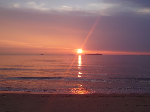 2025年産🌾 香川県産あきさかり玄米24kg新米！味自慢　予約開始！🏃‍♀️🏃‍♂️瀬戸内のお米　  お子様や若い方にも大人気♬試してみて〜この甘みと香り（北海道、沖縄への発送除く）