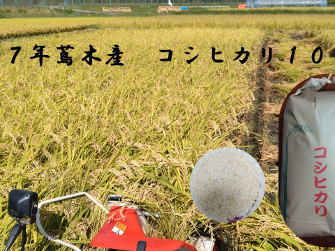 令和７年産　長野県富士見町蔦木産コシヒカリ　１０ｋｇ