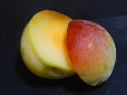 味と香りが自慢のすもも　彩の姫　約2Kg