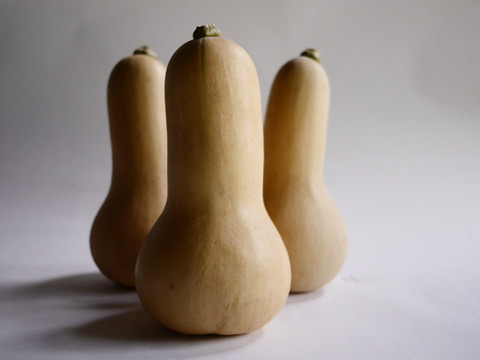 【ギフトにもおすすめ】栗かぼちゃ&バターナッツかぼちゃの詰め合わせ