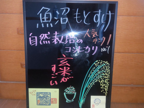 自然栽培　魚沼コシヒカリ玄米