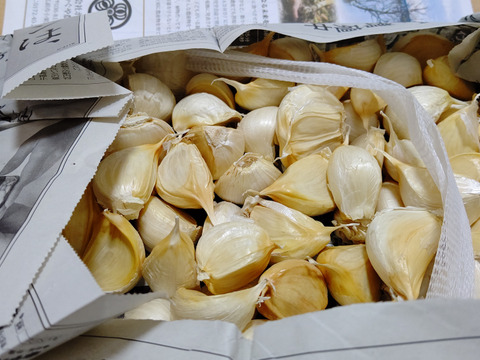 【300円OFFクーポン】毎年２万箱売れてます！令和５年産 850g!! 青森県産にんにく 最高級品種 ホワイト６片 家庭用バラ
