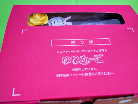 【母の日ギフト】❝苺❞甘味と酸味のバランスが最高！品種：おいCベリー