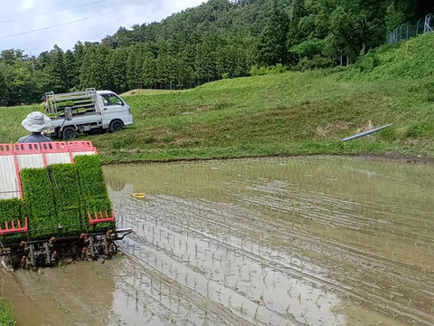 ハッピーヒル　５ｋｇ　自然栽培　天日干し　農薬不使用