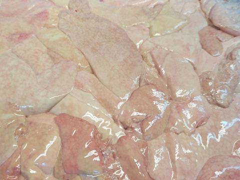 【北の珍味】カスベ肝/レバ刺/ルイベ/煮付け/どぶ汁/500ｇ【冷凍】【生食可】