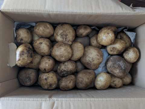 掘りたて！ホクホク！ビタミンｃたっぷり新ジャガキタアカリ5K＋掘りたてホクホク男爵5Ｋ食べ比べセット