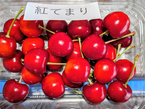 さくらんぼ紅シリーズ4点セット：山形県産の紅秀峰｜食べチョク｜産地