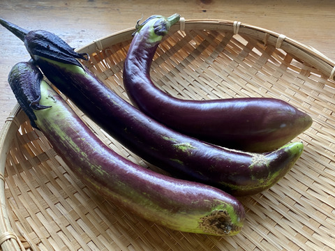 【自然栽培・自家採種】命を大切に/フードロス対策/規格外/お買い得/とろける美味しさ🍆長なす３００g（約３本）