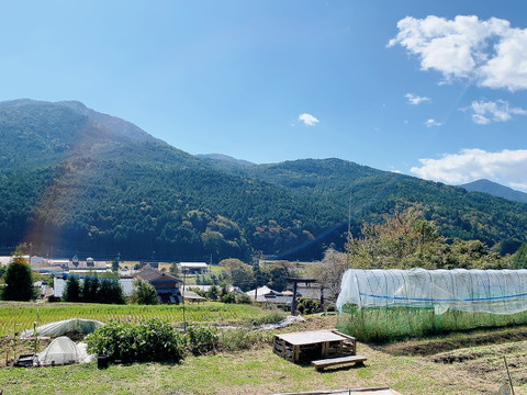 ぜひ一度！！冷蔵便【むらざと自然農園】トマト約2キロ　岐阜県加茂郡白川町黒川　大人気トマトを箱詰め　栽培期間中農薬化学肥料不使用