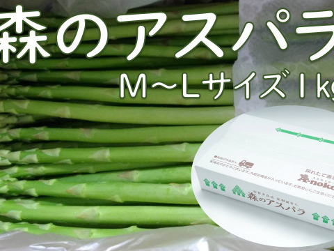 【7月予約】森のアスパラ １㎏　50〜80本（MLサイズ）