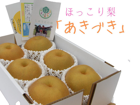 【30名限定予約!】爽やかでスッキリとした甘さが特徴「あきづき梨」