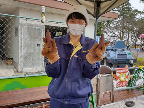 ［お得！］※傷あり 蜜たっぷり！富山県産『紅はるか』(10kg)