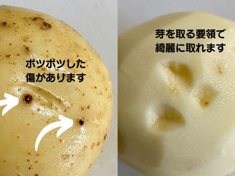 【自然栽培・デジマ （ジャガイモ）B】傷ありですが美味しく召し上がれます（お得用５００g）