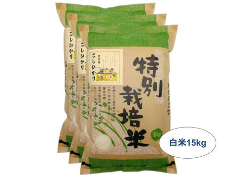 【新米予約】【白米15kg】残留農薬ゼロ!情熱の結晶!つぶ感が人気の 信州産 こしひかり 《受注精米》(5kg×3袋) 令和3年産 新米 【10月上旬から順次発送】