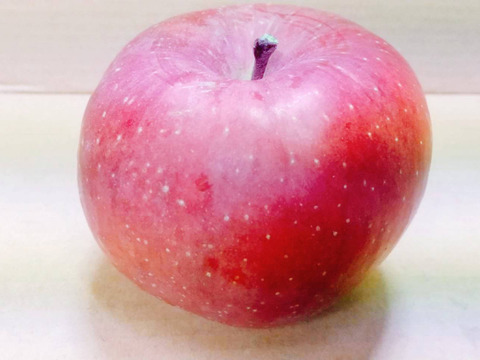 ジューシーな須坂産家庭用サンふじリンゴ（約10キロ）