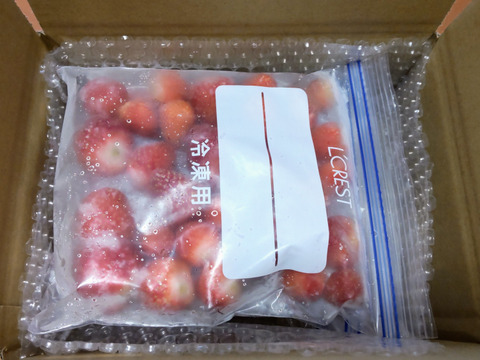 【冷凍いちご】品種：おいCベリー (1.2kg)