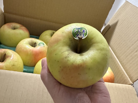 数量限定！甘さ抜群！名月🍏